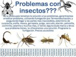 Cucarachas-Moscas-Grillos-Palomilla-Insecticida-Este-20140725160547.jpg