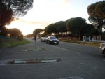 DSC01943.JPG