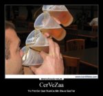 IncreiblesdeProfesionalDeLaCerveza.jpg