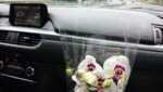 IMG-20170517-WA0000.jpg