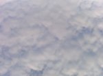IMG_20160117_162601.jpg