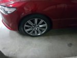 20190219_104446.jpg