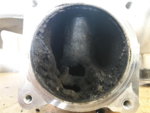 33537667zb.jpg