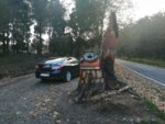 IMG_20201117_173107.jpg
